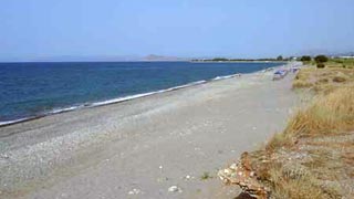 Rapaniana - Chania - Crete - Greece