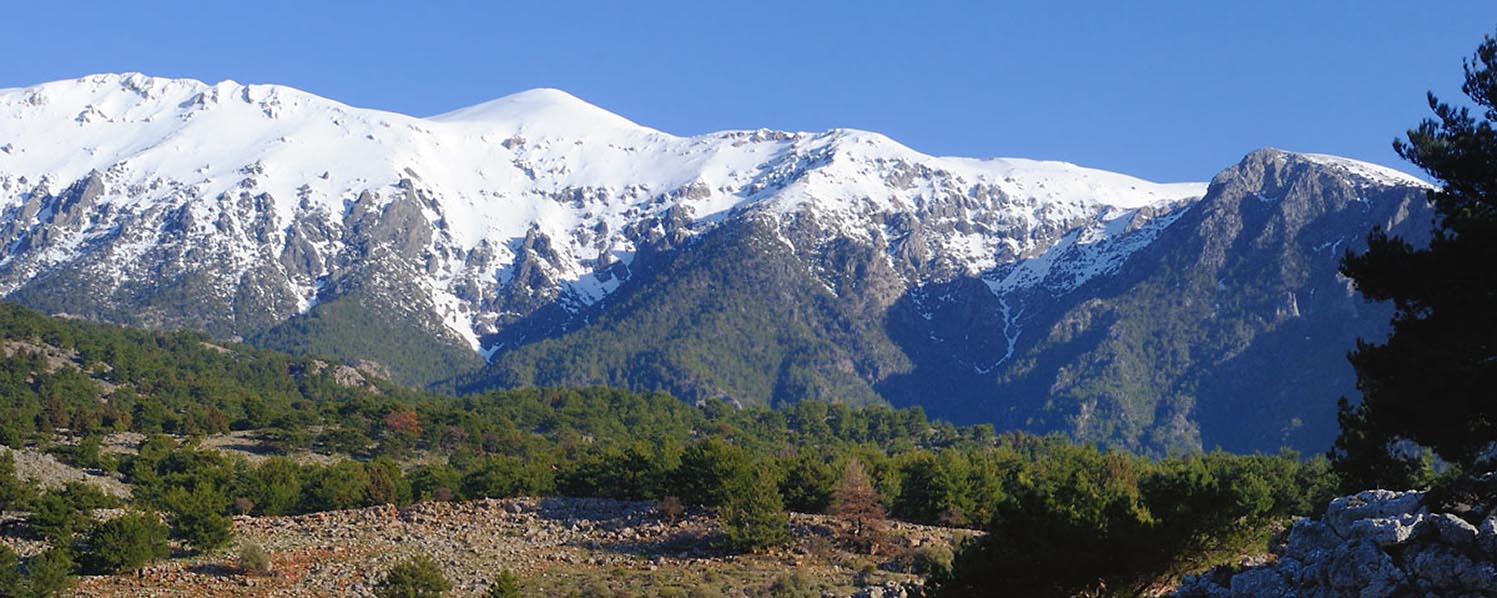 Crete White Mountains Safari Including Wine Tasting and Lunch