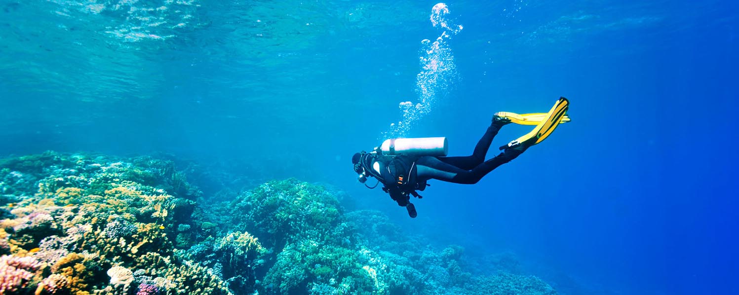 Scuba Diving - East Crete