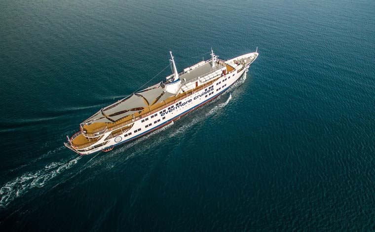 One day Vip cruise to Saronic Gulf islands(Hydra-Poros-Aegina)