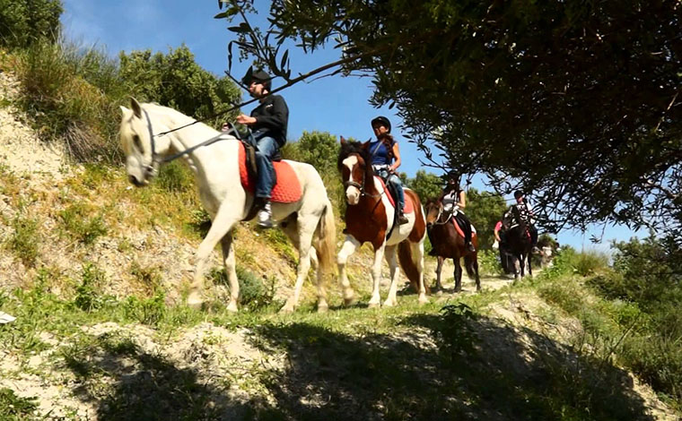 Horse riding in Chersonissos Next to the Sea & Mountains