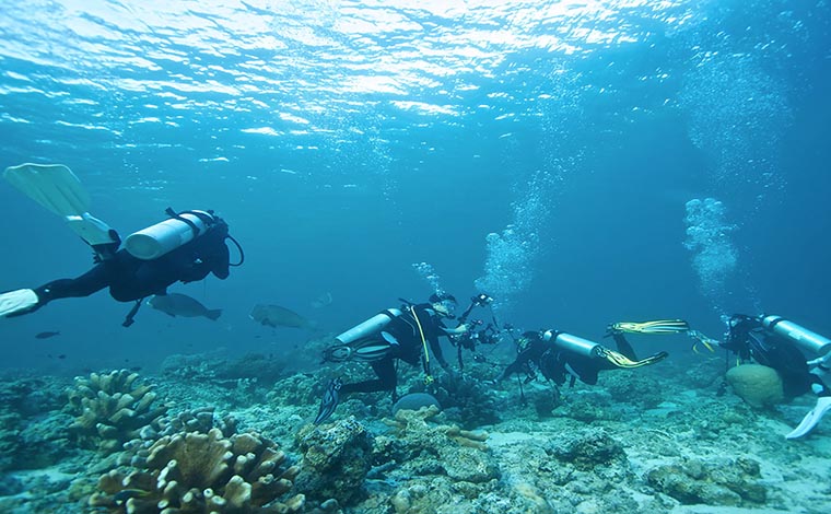 Scuba Diving - Rethymnon & Georgioupolis