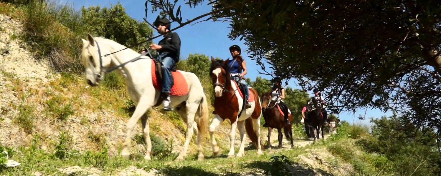 Horse riding in Chersonissos Next to the Sea & Mountains