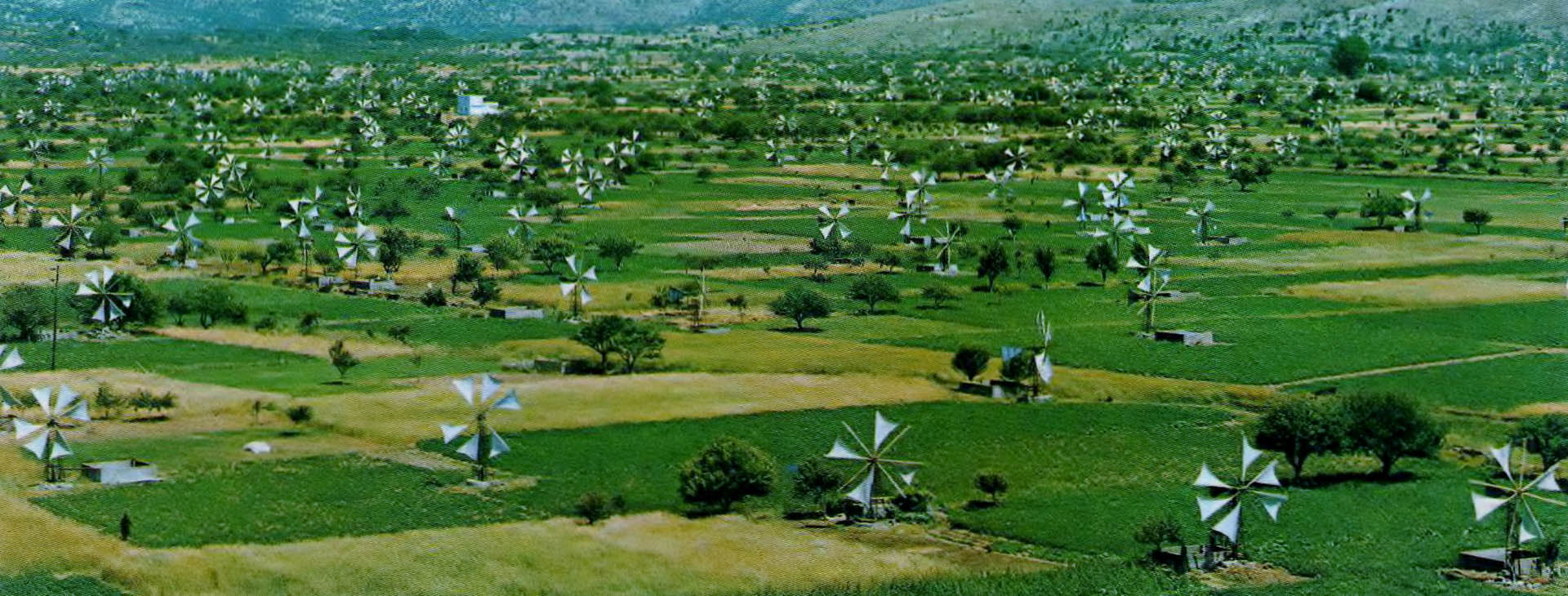 Windmills at the Lasithi Plateau, Lassithi