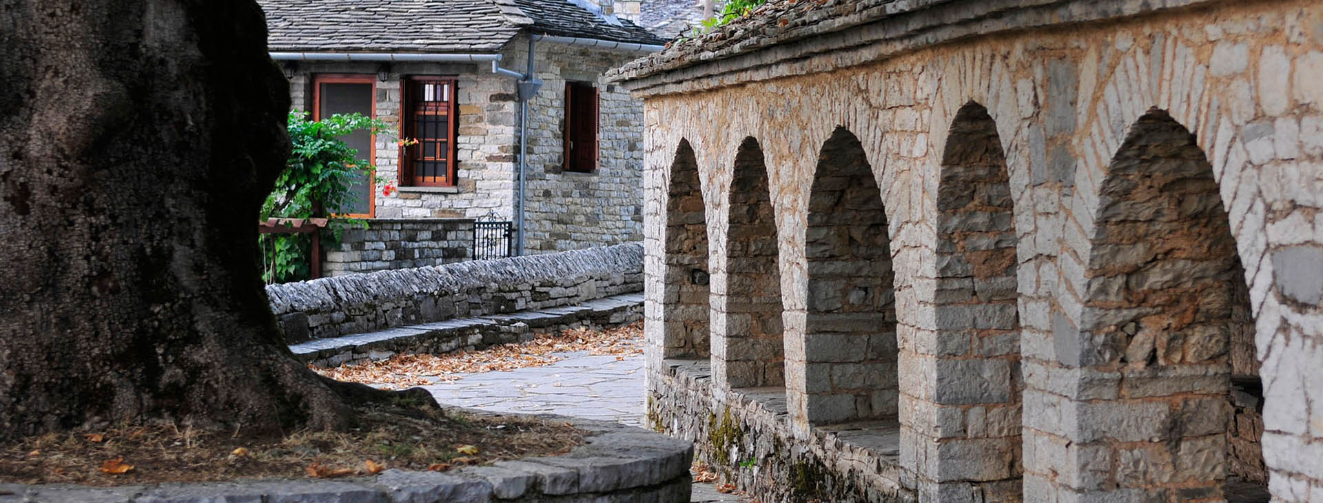 Zagorochoria, Ioannina